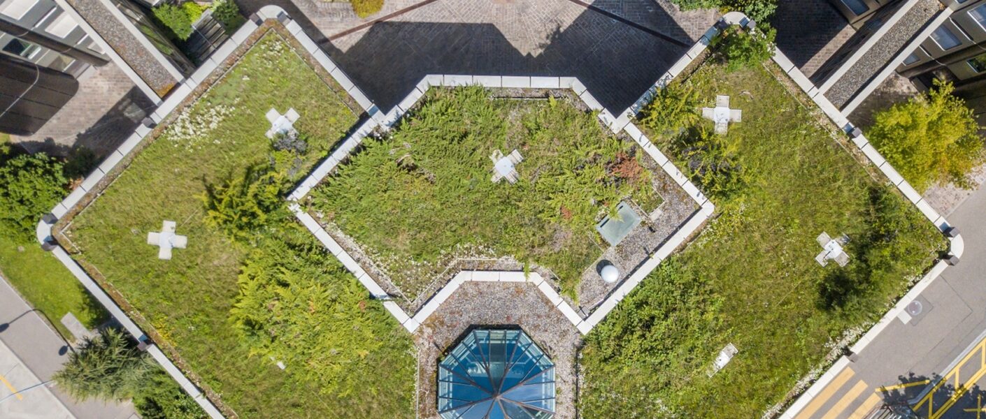 Architektonisches Flachdach mit Begrünung und Oberlicht | Gründach