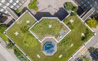Architektonisches Flachdach mit Begrünung und Oberlicht | Gründach
