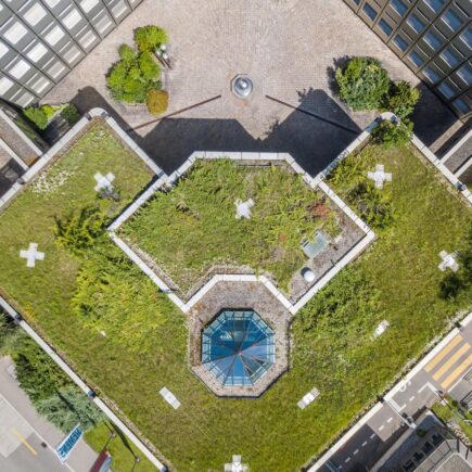 Architektonisches Flachdach mit Begrünung und Oberlicht | Gründach