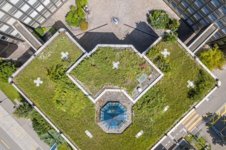 Architektonisches Flachdach mit Begrünung und Oberlicht | Gründach