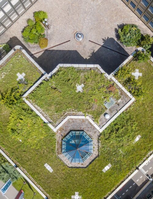 Architektonisches Flachdach mit Begrünung und Oberlicht | Gründach